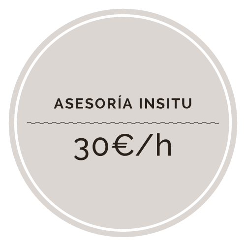 Asesoría insitu